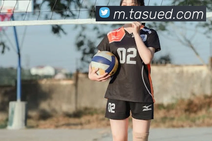 体育数据展示